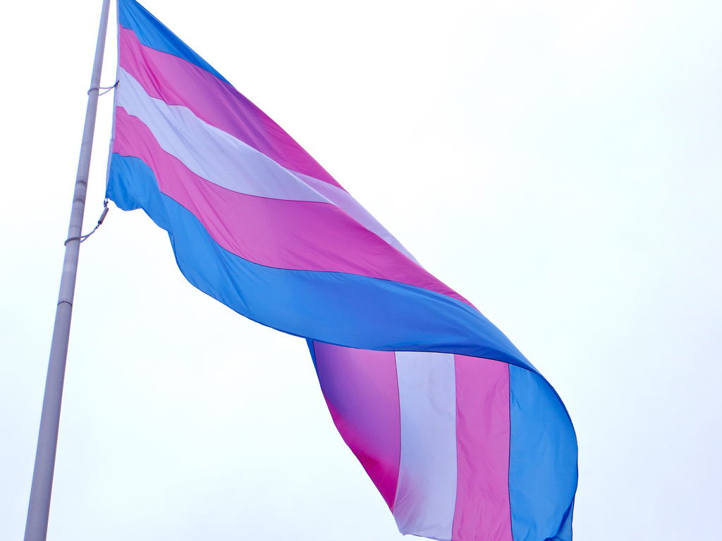 TransgenderPrideFlag
