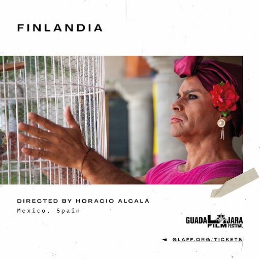 blongfinlandia