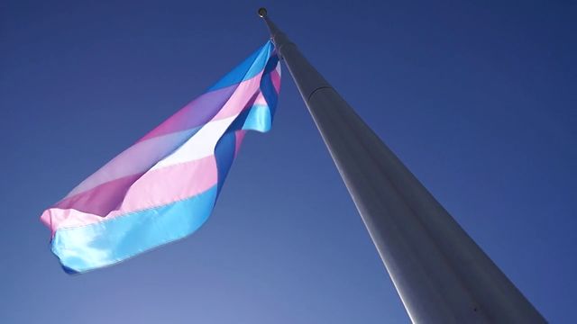 TransgenderFlag
