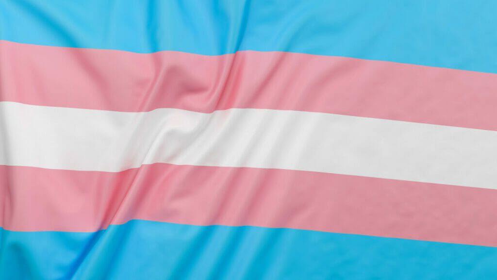 Transgender Flag