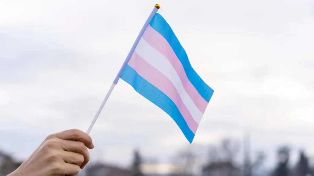 Transgender Flag