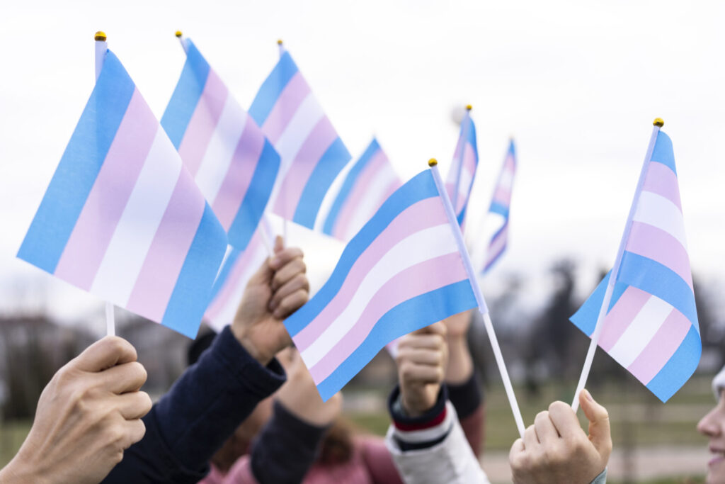 Many people holding transgender flags high in the sky