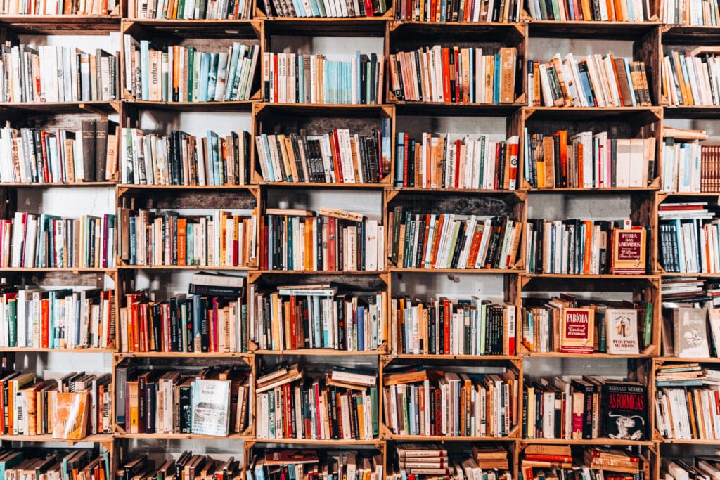 Books on the shelves in a bookstore