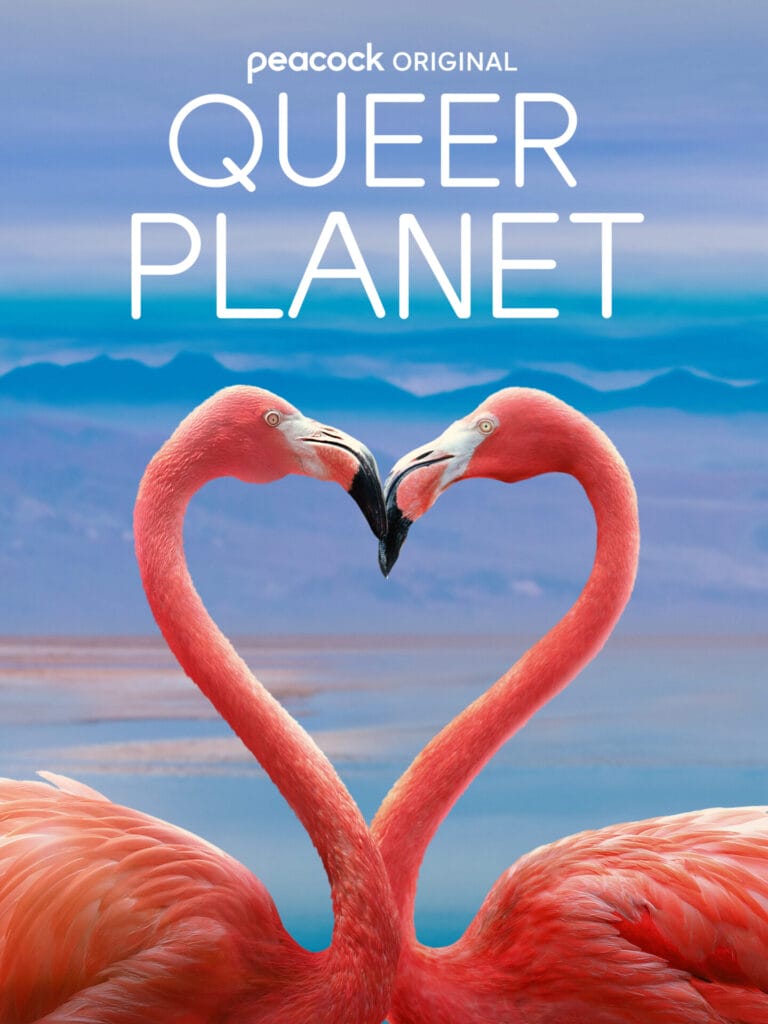 NBCUniversal - Queer Planet | GLAAD NBCUniversal - Queer Planet